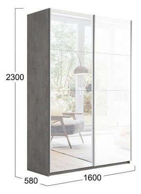 Шкаф-купе Траст СШК 2.160.80-13.15 в Агрызе - agryz.mebel24.online | фото 3