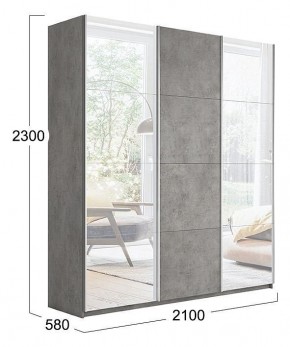 Шкаф-купе Траст СШК 2.210.70-13.11.13 в Агрызе - agryz.mebel24.online | фото 3