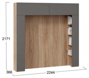 Шкаф навесной Порто СМ-393.21.022-23 в Агрызе - agryz.mebel24.online | фото 5