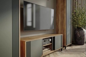 Шкаф платяной Богемия в Агрызе - agryz.mebel24.online | фото 3