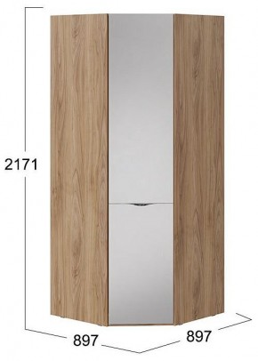 Шкаф платяной Глосс СМ-319.07.312 в Агрызе - agryz.mebel24.online | фото 4