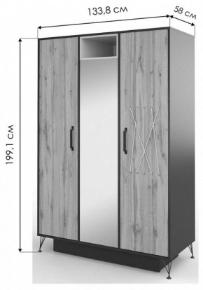 Шкаф платяной Нобира в Агрызе - agryz.mebel24.online | фото 3