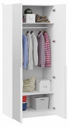 Шкаф платяной Порто СМ-393.07.004 в Агрызе - agryz.mebel24.online | фото 4