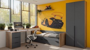 Шкаф платяной Порто СМ-393.07.223 в Агрызе - agryz.mebel24.online | фото 4