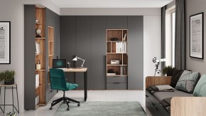 Шкаф платяной Порто СМ-393.07.223 в Агрызе - agryz.mebel24.online | фото 9