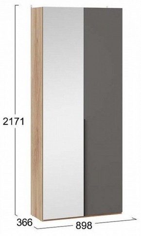 Шкаф платяной Порто СМ-393.07.225 в Агрызе - agryz.mebel24.online | фото 3