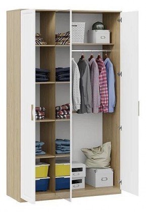 Шкаф платяной Сэнди в Агрызе - agryz.mebel24.online | фото 3