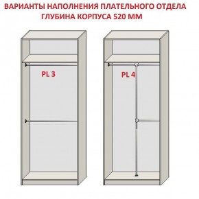 Шкаф распашной серия «ЗЕВС» (PL3/С1/PL2) Серый камень/Небраска натуральный в Агрызе - agryz.mebel24.online | фото 10