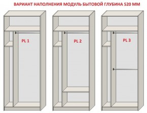Шкаф распашной серия «ЗЕВС» (PL3/С1/PL2) Серый камень/Небраска натуральный в Агрызе - agryz.mebel24.online | фото 5