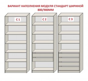 Шкаф распашной серия «ЗЕВС» (PL3/С1/PL2) Серый камень/Небраска натуральный в Агрызе - agryz.mebel24.online | фото 6