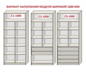 Шкаф распашной серия «ЗЕВС» (PL3/С1/PL2) Серый камень/Небраска натуральный в Агрызе - agryz.mebel24.online | фото 7