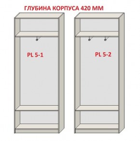 Шкаф распашной серия «ЗЕВС» (PL3/С1/PL2) Серый камень/Небраска натуральный в Агрызе - agryz.mebel24.online | фото 8