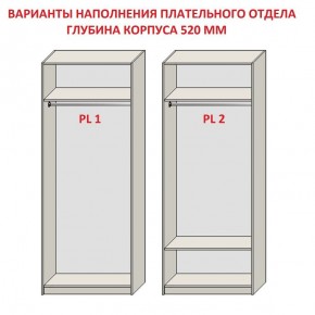 Шкаф распашной серия «ЗЕВС» (PL3/С1/PL2) Серый камень/Небраска натуральный в Агрызе - agryz.mebel24.online | фото 9
