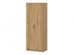 Шкаф ШК-2 (Дуб золотой) в Агрызе - agryz.mebel24.online | фото 3