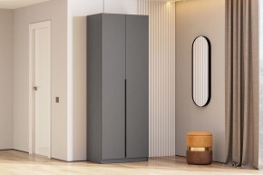Шкаф ШК-5 + 2 полки (800) Графит серый в Агрызе - agryz.mebel24.online | фото 2