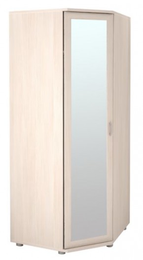 Шкаф угловой для одежды Ника-Люкс 30 без зеркал в Агрызе - agryz.mebel24.online | фото 1