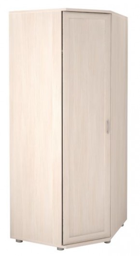 Шкаф угловой для одежды Ника-Люкс 30 без зеркал в Агрызе - agryz.mebel24.online | фото 2