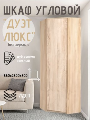 Шкаф угловой Дуэт Люкс без зеркала в Агрызе - agryz.mebel24.online | фото 5