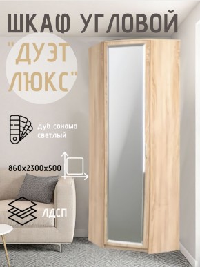 Шкаф угловой Дуэт Люкс с зеркалом в Агрызе - agryz.mebel24.online | фото 1