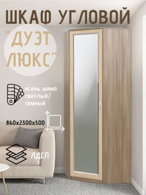 Шкаф угловой Дуэт Люкс с зеркалом в Агрызе - agryz.mebel24.online | фото 3