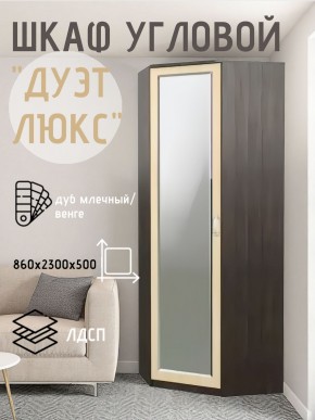 Шкаф угловой Дуэт Люкс с зеркалом в Агрызе - agryz.mebel24.online | фото 5