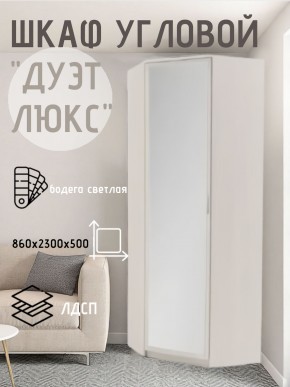 Шкаф угловой Дуэт Люкс с зеркалом в Агрызе - agryz.mebel24.online | фото 6