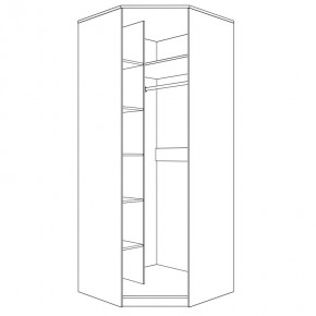 Шкаф угловой (корпус) Парма Нео в Агрызе - agryz.mebel24.online | фото 2
