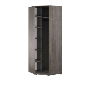 Шкаф угловой Теана ясень анкор темный/зеркало в Агрызе - agryz.mebel24.online | фото 2