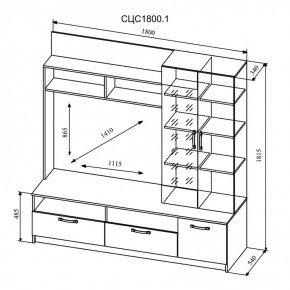 СОФИ Гостиная (модульная) дуб сонома/белый глянец в Агрызе - agryz.mebel24.online | фото 9