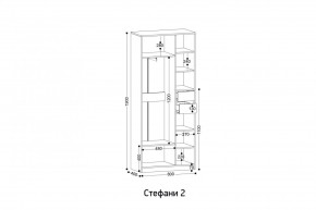 СТЕФАНИ-2 Шкаф в Агрызе - agryz.mebel24.online | фото 2