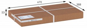 Стеллаж для обуви Атлас в Агрызе - agryz.mebel24.online | фото 4