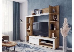 Стенка для гостиной Касэль в Агрызе - agryz.mebel24.online | фото 2