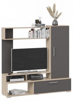 Стенка для гостиной Сиена в Агрызе - agryz.mebel24.online | фото 2