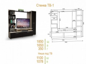 Стенка для гостиной ТВ-1 в Агрызе - agryz.mebel24.online | фото 2