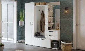 Стенка для прихожей Эрика в Агрызе - agryz.mebel24.online | фото 3