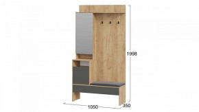 Стенка для прихожей Эвита в Агрызе - agryz.mebel24.online | фото 6