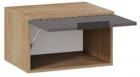 Стенка для прихожей Хилтон №1 в Агрызе - agryz.mebel24.online | фото 6