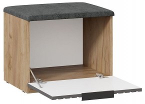 Стенка для прихожей Хилтон №2 в Агрызе - agryz.mebel24.online | фото 6