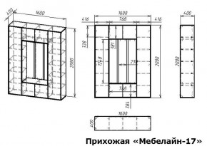 Стенка для прихожей Мебелайн-17 в Агрызе - agryz.mebel24.online | фото 3