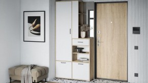 Стенка для прихожей Торонто в Агрызе - agryz.mebel24.online | фото 5