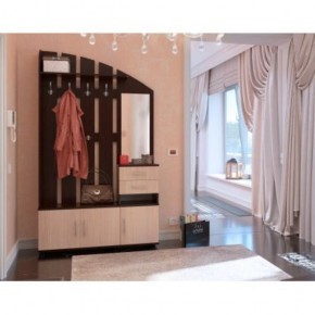 Стенка для прихожей ВШ-2.2 в Агрызе - agryz.mebel24.online | фото 3