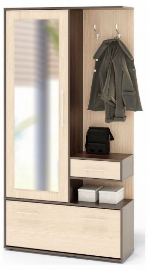 Стенка для прихожей ВШ-6 в Агрызе - agryz.mebel24.online | фото