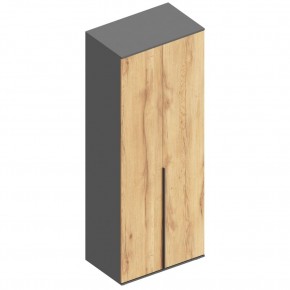 СТИЛ Шкаф 2-ств для одежды в Агрызе - agryz.mebel24.online | фото