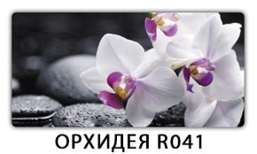 Стол Бриз с фотопечатью Кофе R012 в Агрызе - agryz.mebel24.online | фото 10