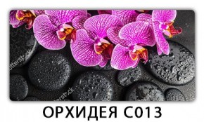 Стол раздвижной Трилогия с фотопечатью Доска D112 в Агрызе - agryz.mebel24.online | фото 14