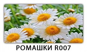 Стол раздвижной Трилогия с фотопечатью Доска D112 в Агрызе - agryz.mebel24.online | фото 15