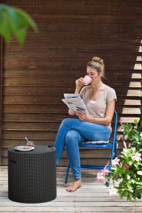 Столик-холодильник Кул-Стул (Cool stool) коричневый в Агрызе - agryz.mebel24.online | фото 2