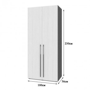 СТОУН С22 Шкаф 2-х створчатый (золотой дуб/графит) в Агрызе - agryz.mebel24.online | фото 2