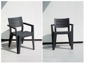 Стул Джули (Julie dining chair) графит в Агрызе - agryz.mebel24.online | фото 2