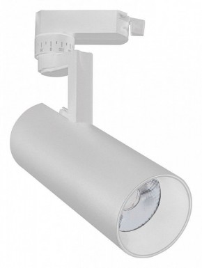 Светильник на штанге Escada 20029 20029TRA/02LED SWH в Агрызе - agryz.mebel24.online | фото
